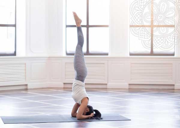 5 bước dễ dàng để chinh phục tư thế yoga đứng cẳng tay