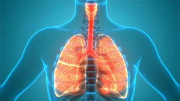 Vì sao viagra có thể dùng trong điều trị các bệnh phổi?