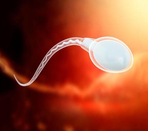 Nghiên cứu mới báo động về sự sụt giảm đáng kể số lượng tinh trùng ở nam giới trên toàn cầu
