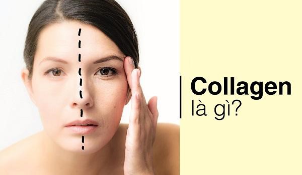 Collagen và những điều bạn cần biết