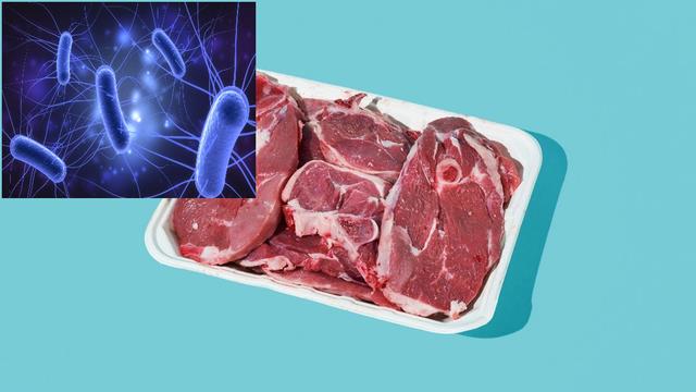 Nhiễm trùng đường tiết niệu liên quan đến vi khuẩn trong thịt?