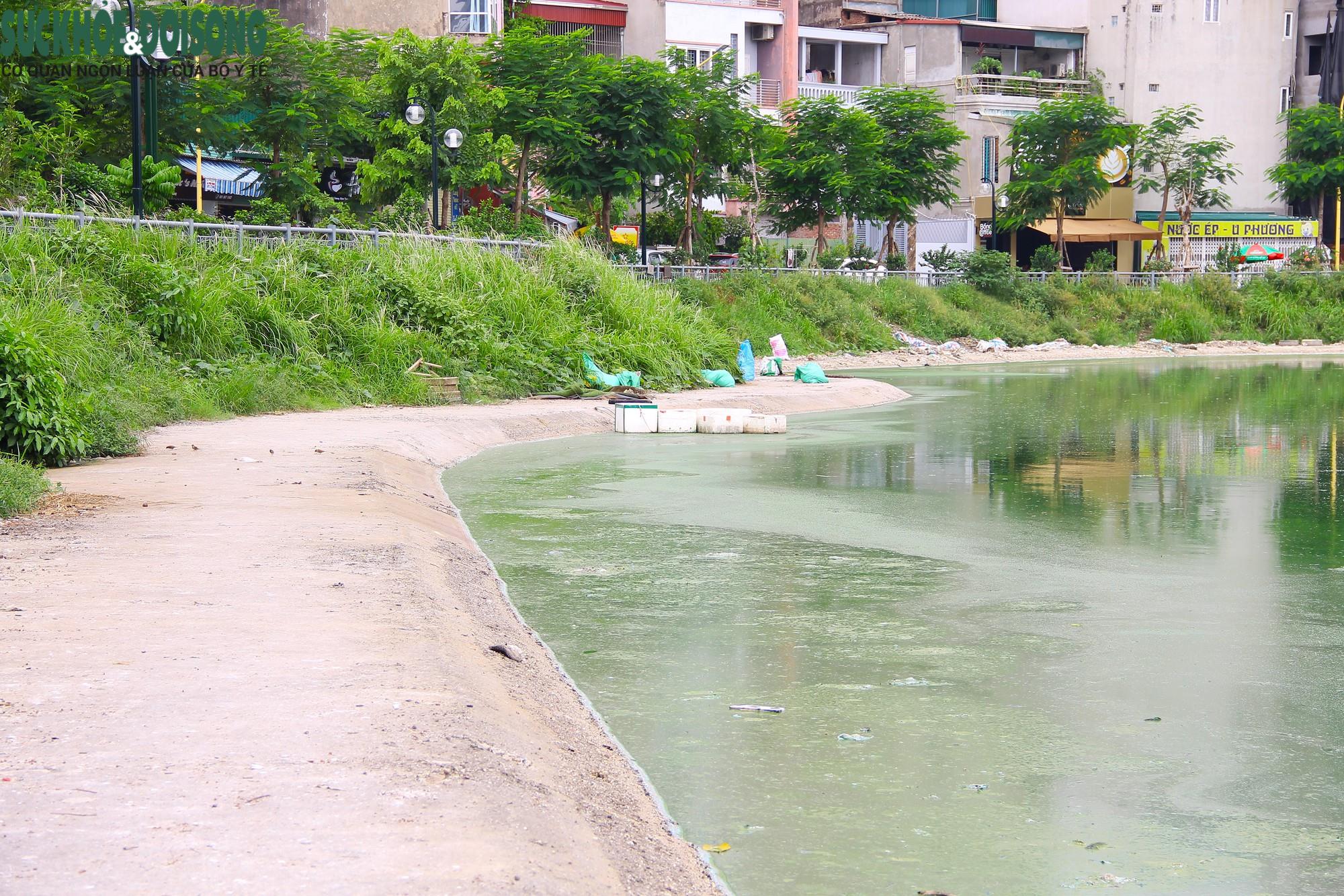 Hồ nước tại trung tâm Hà Nội ô nhiễm, mặt hồ nổi mảng bám, nước bốc mùi