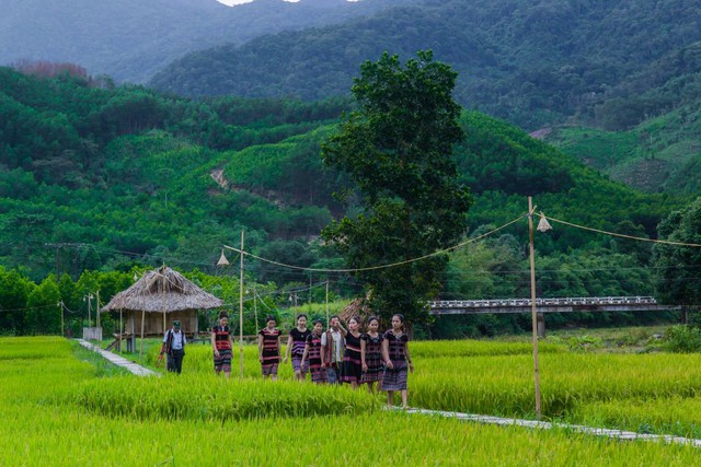 Huyện A Lưới – Thừa Thiên Huế: Mở rộng phát triển trồng cây dược liệu quý