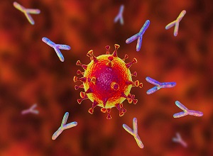 Có vượt được kháng thể, biến thể Omicron vẫn bị tế bào T ngăn chặn
