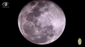 Ngắm mặt trăng và chim qua kính thiên văn (phần 1)
